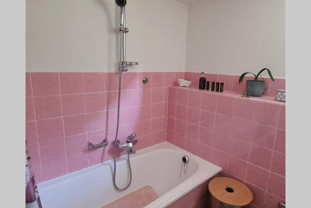 Jungfrau Apartment Майринген Екстериор снимка